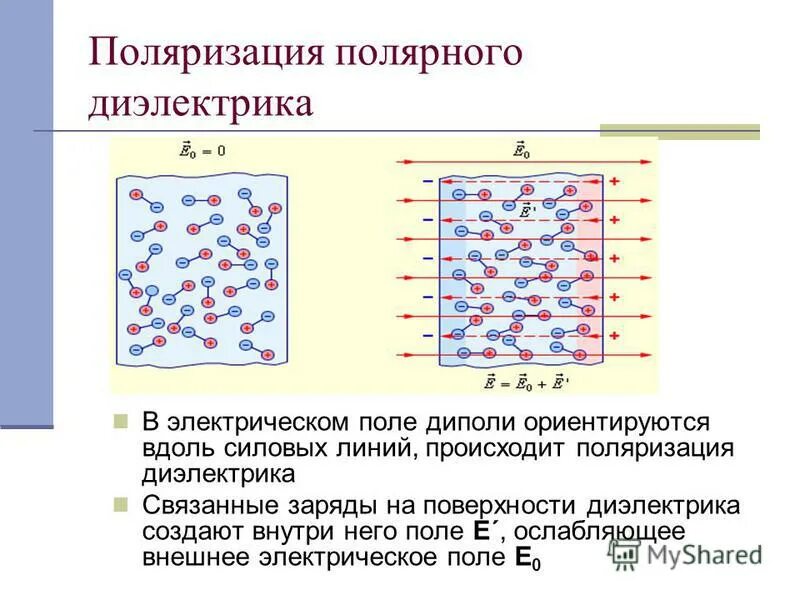 Поляризация полярных. Поляризация полярных