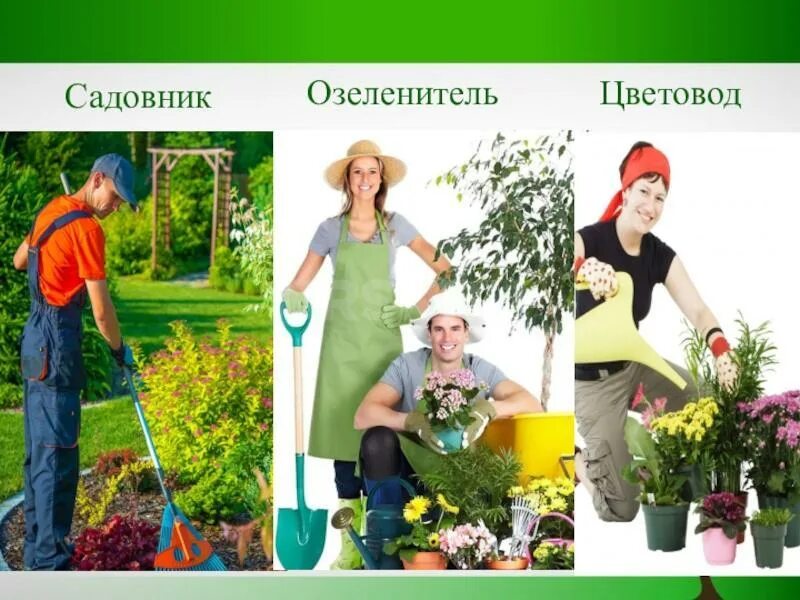 Профессия садовод описание. Сообщение о профессии садовник. Сообщение о профессии садовод. Профессия озеленитель для детей. Озеленитель профессия.