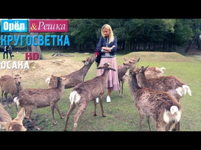 Орёл и Решка Япония Осака. Орел и Решка Осака. Орёл и Решка кругосветка Осака.