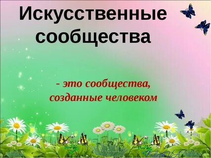 Природные сообщества 3 класс окружающий мир 21 век презентация