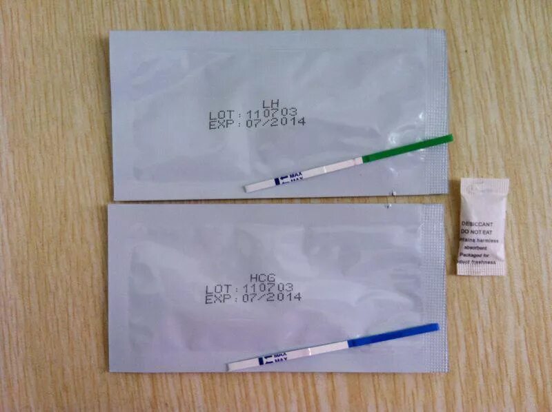 Test 01