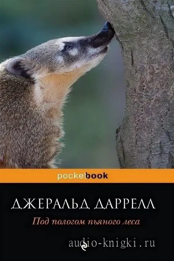 Джеральд даррелл под пологом пьяного леса. Чжеральд дарэлл под пологом пьяного леса. под пологом пьяного леса джеральд даррелл. под пологом пьяного леса книга. книга джеральда даррелла под пологом пьяного леса.
