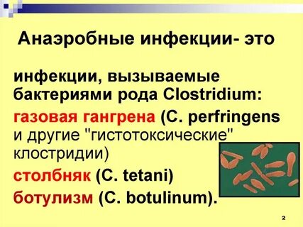 Аэробные и анаэробные инфекции
