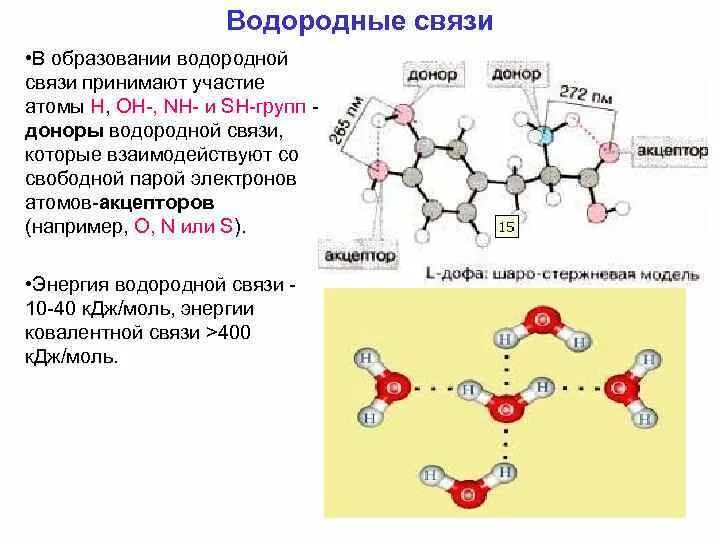 Метан водородная связь. Доноры и акцепторы водородной связи. Водородная связь образование водородных связей. Образующие элементы водородной связи. Какие соединения образуют водородные связи.