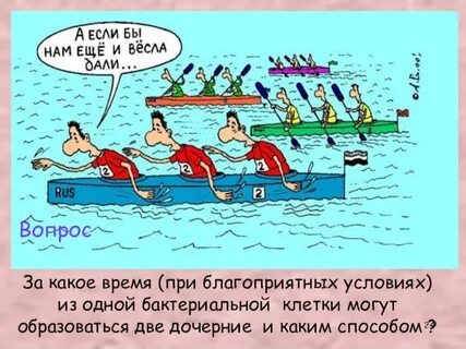 Я беру весла и иду