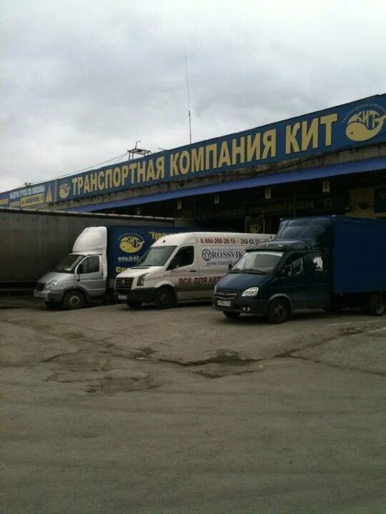Кит транспортная компания логотип. Кит транспортная контакты. Kit транспортная компания. Кит транспортная компания логотип. Кит транспортная контакты.