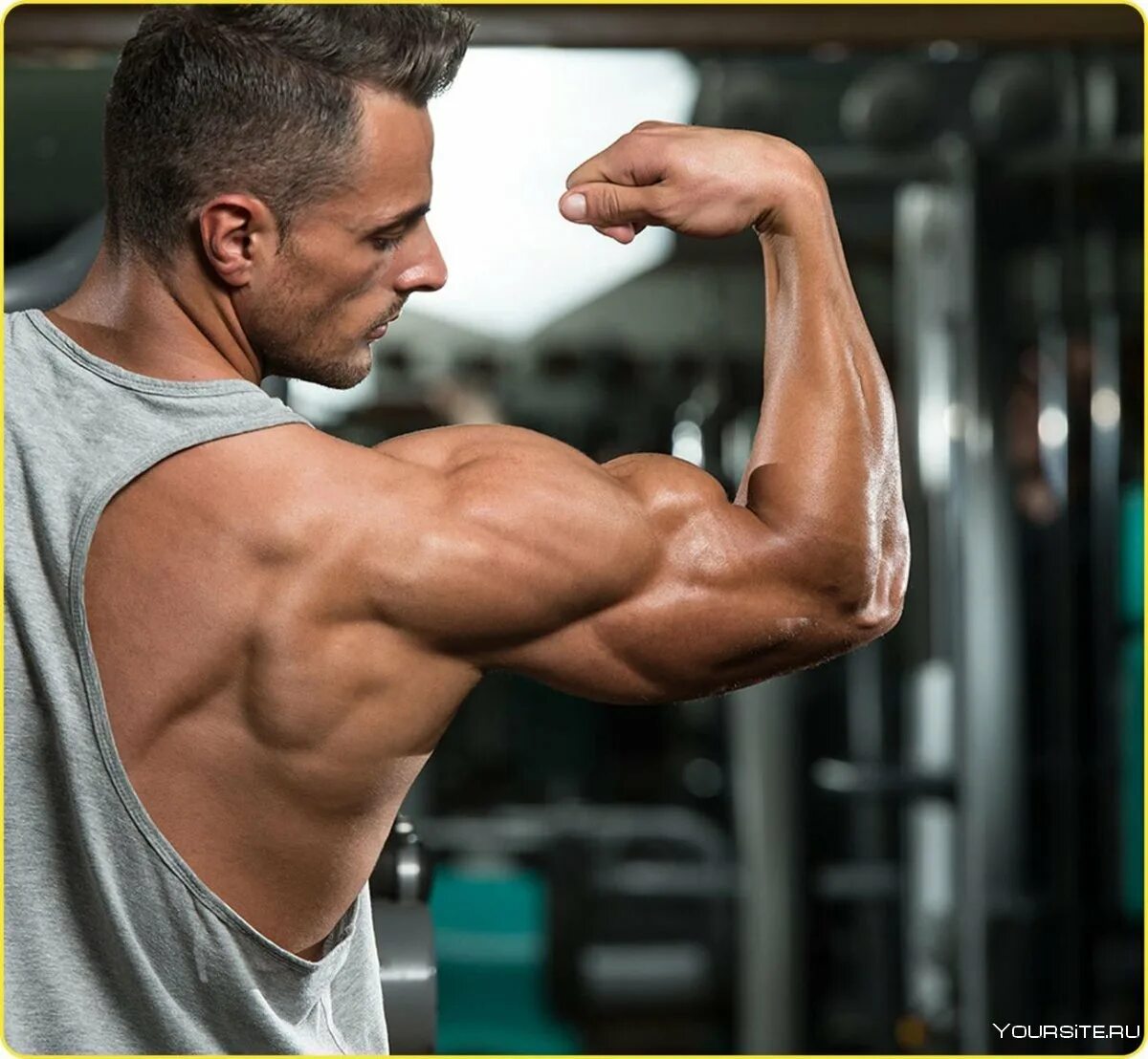 Подъем на бицепс на скамье скотта. Подъем гантелей на бицепс в скамье скотта. Скамья скотта mb barbell для бицепса 2. Рельефный бицепс. Накачать руки.