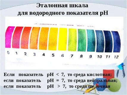 Среда энергия