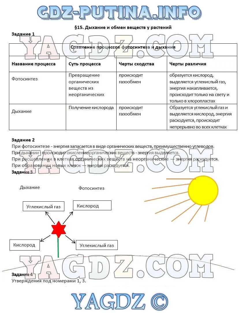 Обмен веществ у растений 6 класс биология таблица. Дыхание и обмен веществ у растений 6 класс рабочая тетрадь. Дыхание растений 6 класс биология таблица. Дыхание и обмен веществ у растений 6.