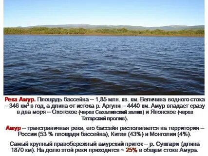Река амур 4 класс