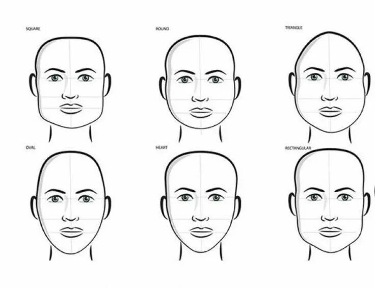 Округлая форма головы. Форма головы. Тип лица овал. Разные формы головы. Основные формы головы человека.