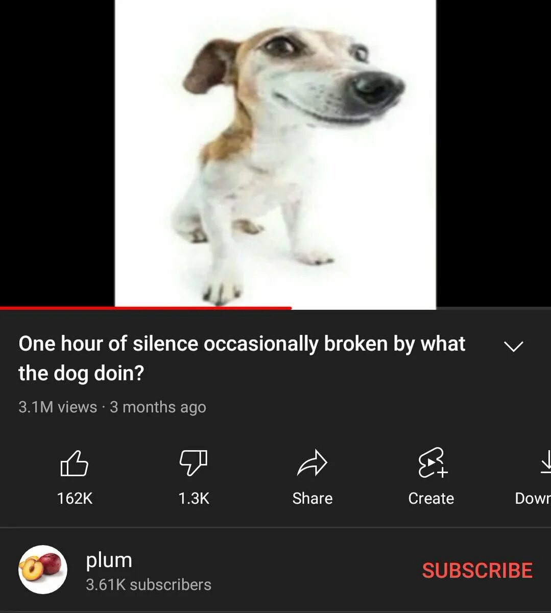 What the Dog doing meme. What da Dog Doin. What da Dog Doin meme.