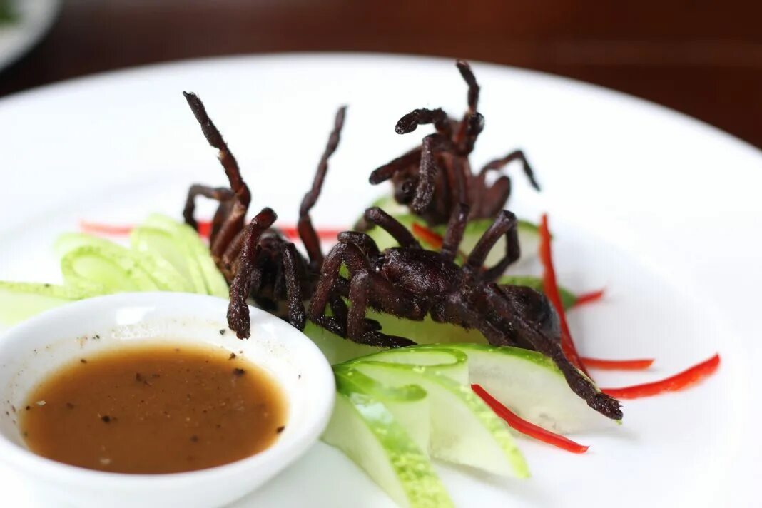 хлебный паук еда. съедобные пауки на хэллоуин. бургер на хэллоуин. жареные тарантулы камбоджа. пауки блюда на хэллоуин.