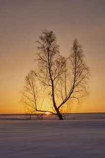 Last morning