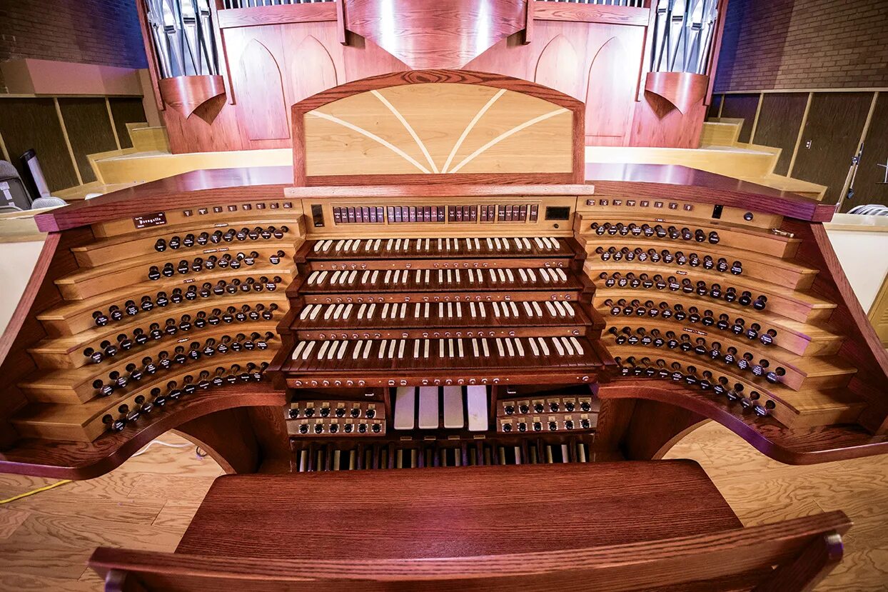 Интегрированный орган. Орган музыкальный инструмент. Красивый орган. АПГАН. Самый большой орган.