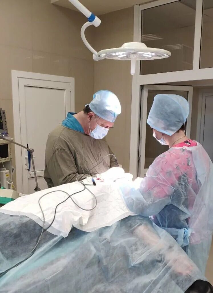 Ростовская 46б воронеж клиника доктора ч на карте. Клиника доктор ч воронеж на ростовской. Ипподромная 2в воронеж клиника 2021. Хирург клиники доктор ч воронеже. Доктор ч ипподромная ул 2в.