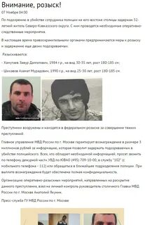 Меры розыска