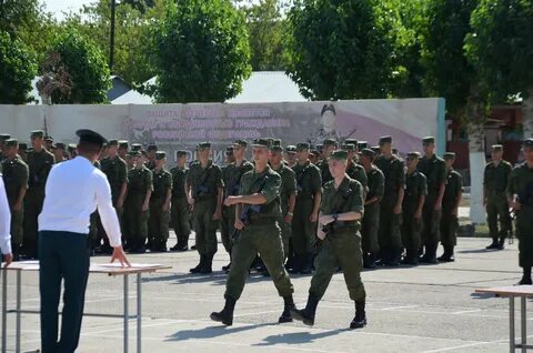 Остров зеленый волжский