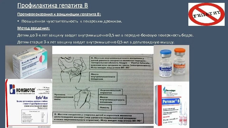 Куда вводится вакцина. Регевак вакцина схема. Регевак в вакцина против гепатита в детская. Вакцина гепатит в регевак схема. Введение вакцины против гепатита в детям алгоритм.