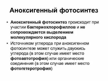 Особенности фотосинтеза у водорослей