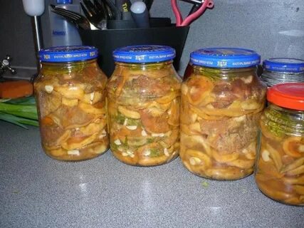 Соленые рыжики рецепт на зиму хрустящие