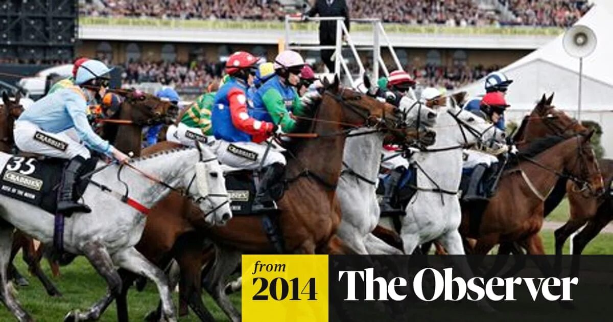 Скачки в великобритании. Женские скачки. Grand national aintree. The grand national is a horse. Скачки.