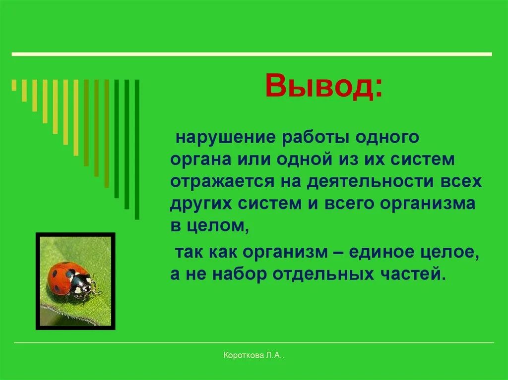 Почему вывод не работает. По биологии 6 класс организм как единое целое. Организм как единое целое доклад по биологии 6 класс. Организм единое целое. Организм как единое целое презентация.