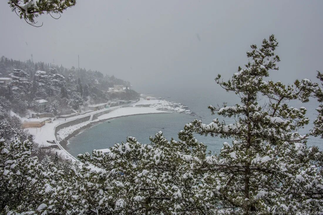 Погода в крыму сегодня по часам. Алупка в феврале. Погода в Крыму сейчас. Крым сейчас фото в данный момент времени. Крым погода сейчас фото сейчас.