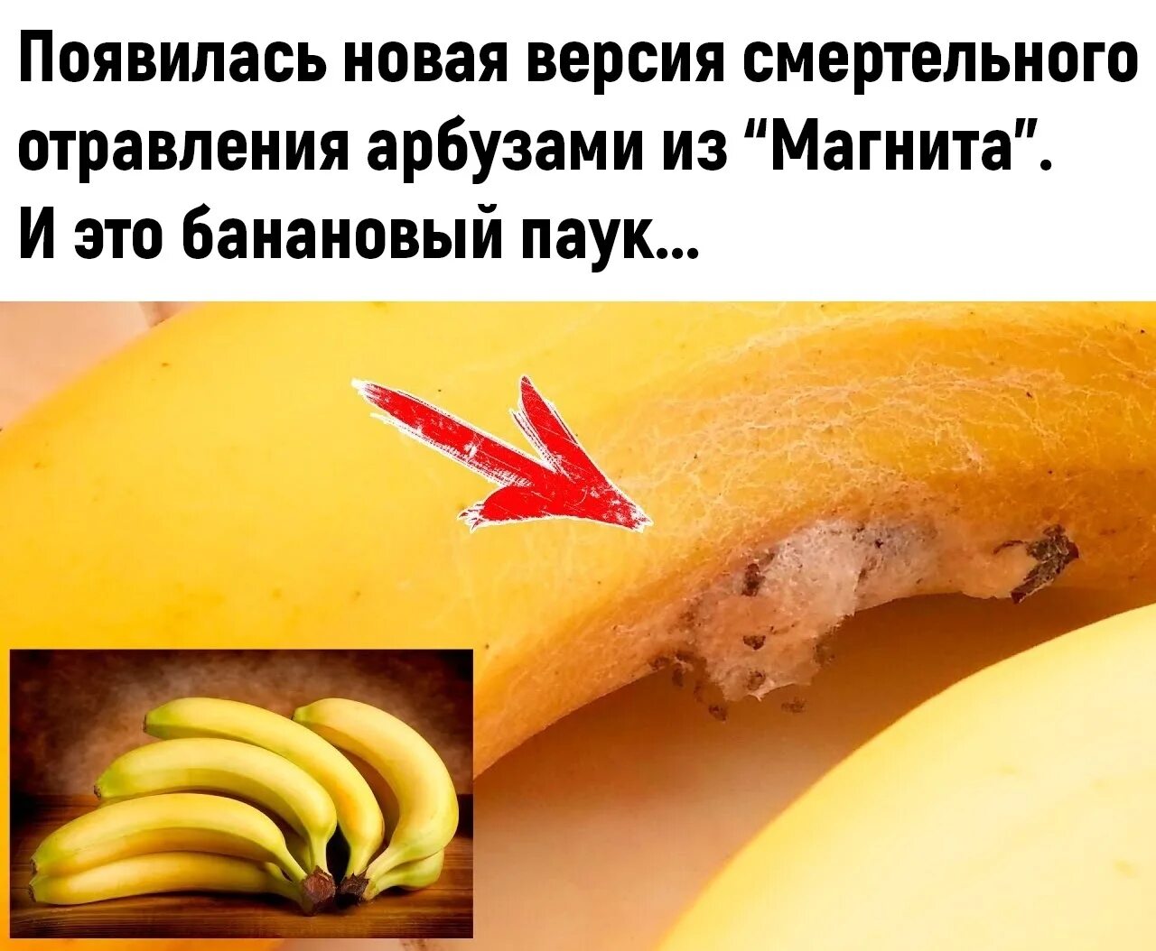 Почему бананы