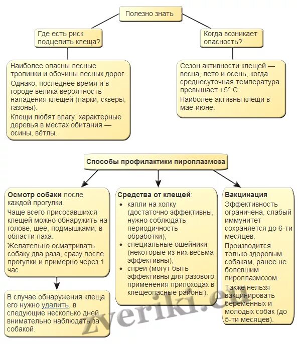 Схема лечения воспаления среднего уха. Препарат от пироплазмоза для крс. Пироплазмоз схема. Схема лечения пироплазмоза. Схема лечения от пироплазмоза у собак.