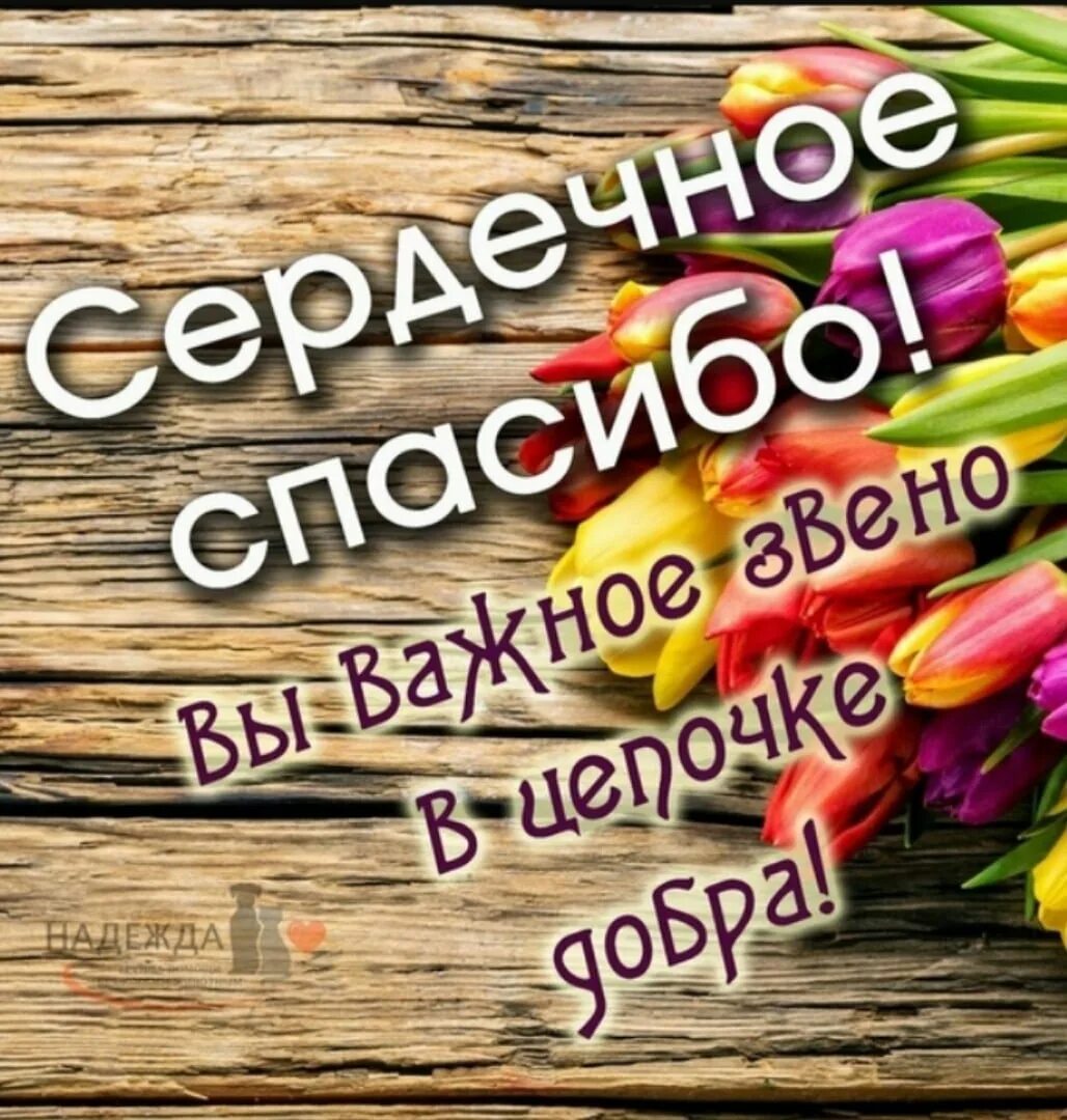 Спасибо за сборы. Спасибо всем кто помогает картинки. Спасибо кто помогает. Спасибо что помог. Благодарю всех за поддержку и помощь.