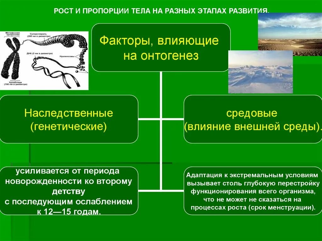 Влияние окружающей среды на развитие организмов. Влияние факторов внешней среды на онтогенез. Влияние факторов среды на онтогене. Влияние факторов среды на онтогенез. Факторы влияющие на онтогенез.