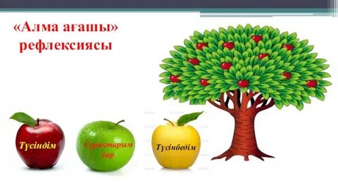 Алғаш рет жас кискалар