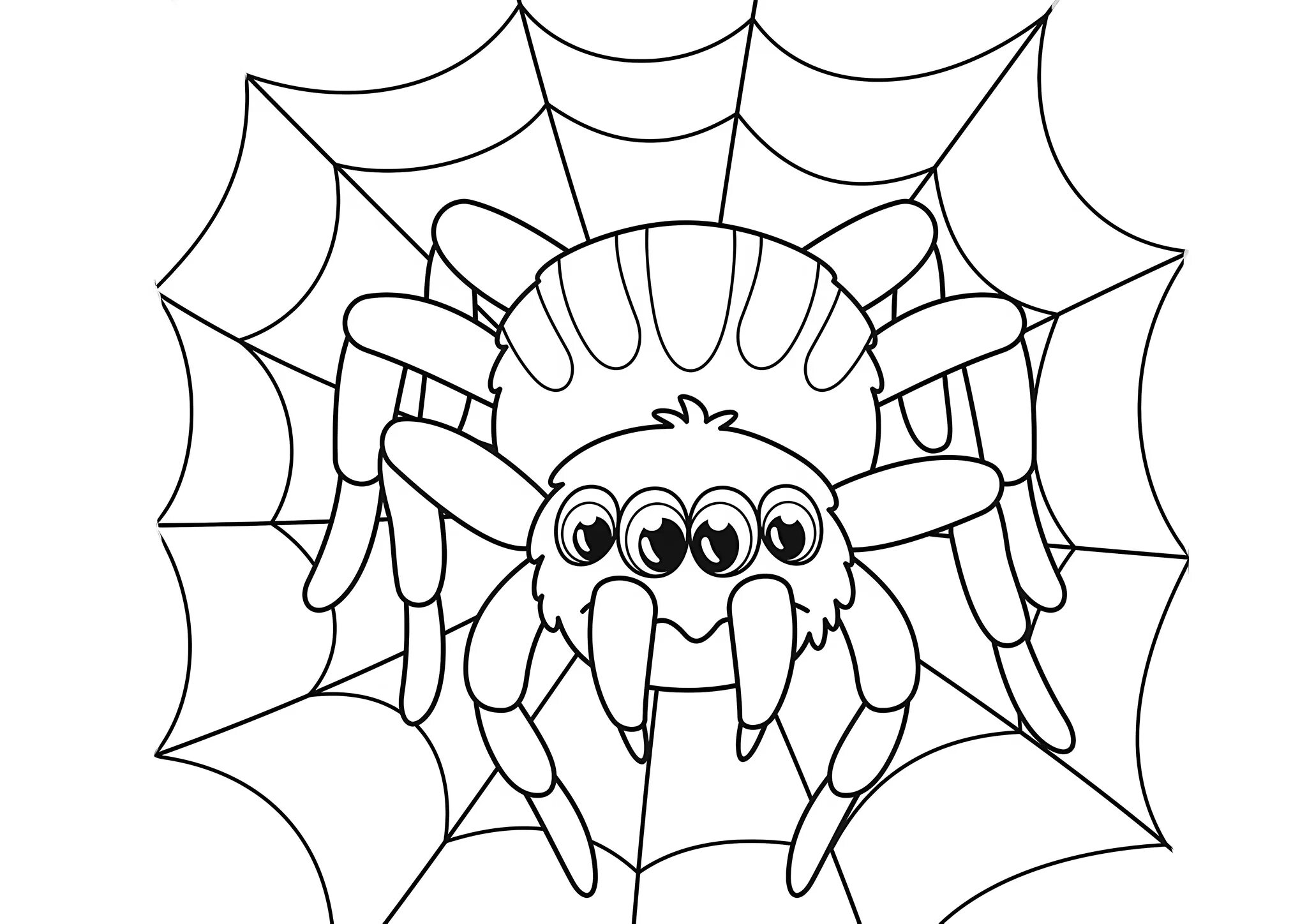 Разукрашивать пауки. Паук раскраска. Паук раскраска для детей. Раскраски пауков. Раскраска паучок.