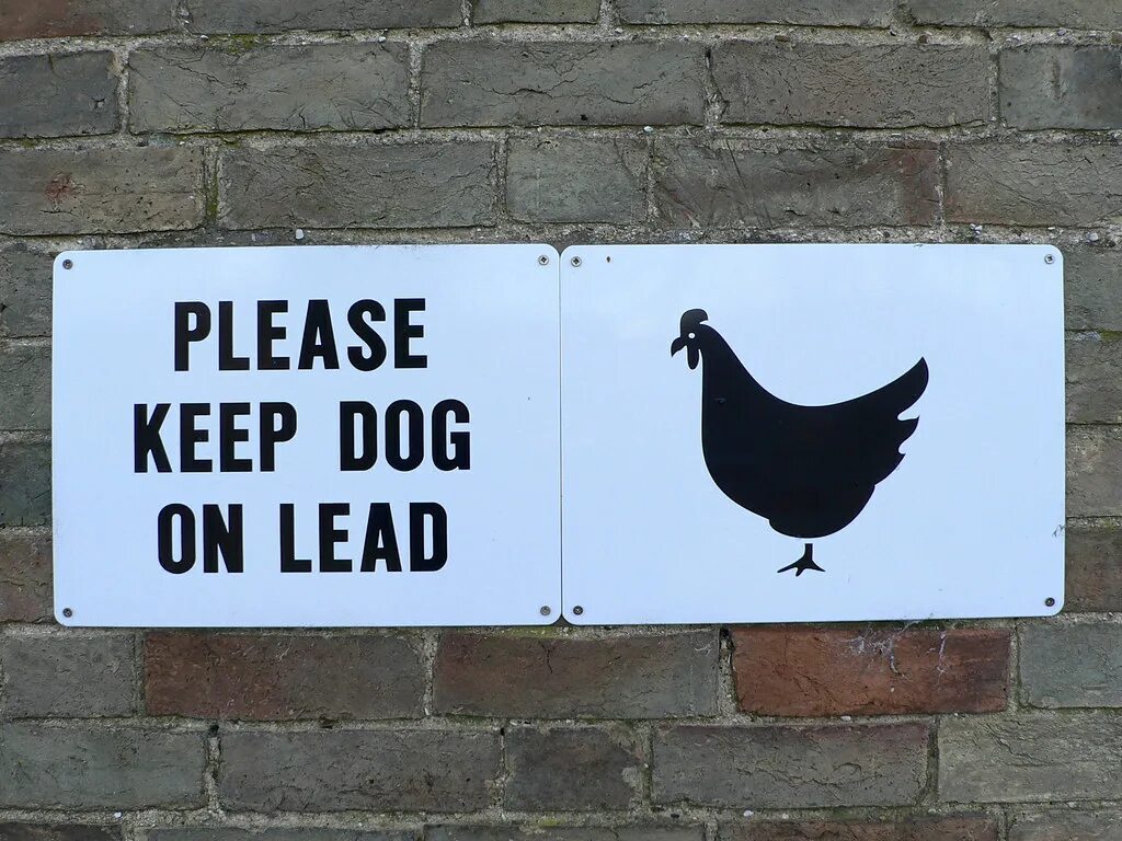 Dogs must keep on a lead. Keep a Dog. Dogs leads signs. Keep our Dogs on a lead перевод.