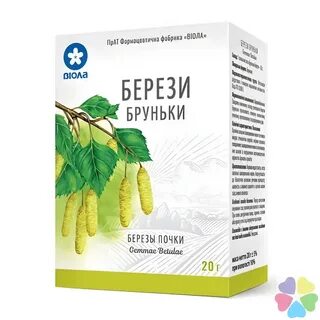 Есть березовые почки