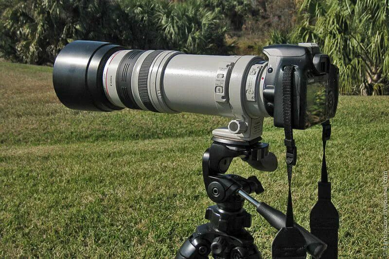 Canon 400mm f 5.6