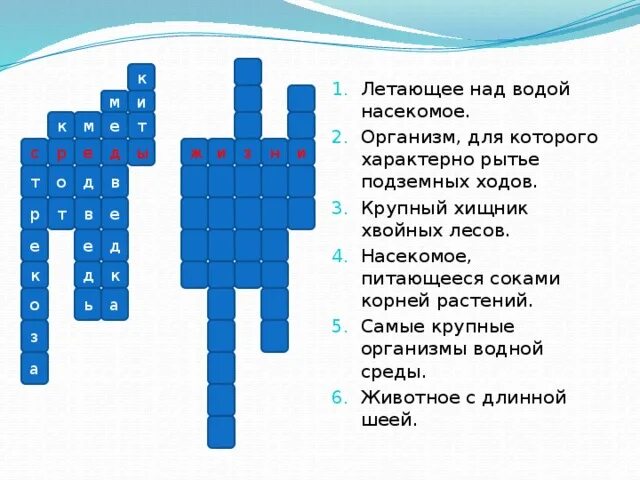 Кроссворд по теме среда обитания. Кроссворд на тему среда обитания. Кроссворд по биологии. Кроссворд по средам обитания. Кроссворд среды жизни