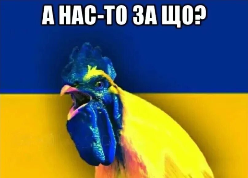 Штампованная вышивка крестом. Козацькому роду нема переводу. Нема на украинском. Козацкому роду нема переводу. Казацкому роду нема переводу.