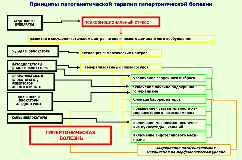 Патогенетические принципы терапии болезней. Патогенетическое лечение гипертонической болезни. принципы патогенетической терапии артериальной гипертензии. принципы терапии патфиз.