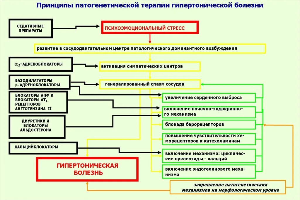 Принципы лечения больных. Патогенетические принципы терапии болезней. Принципы патогенетической терапии патофизиология. Принципы терапии гипертонической болезни. Патогенетическое лечение гипертонической болезни.