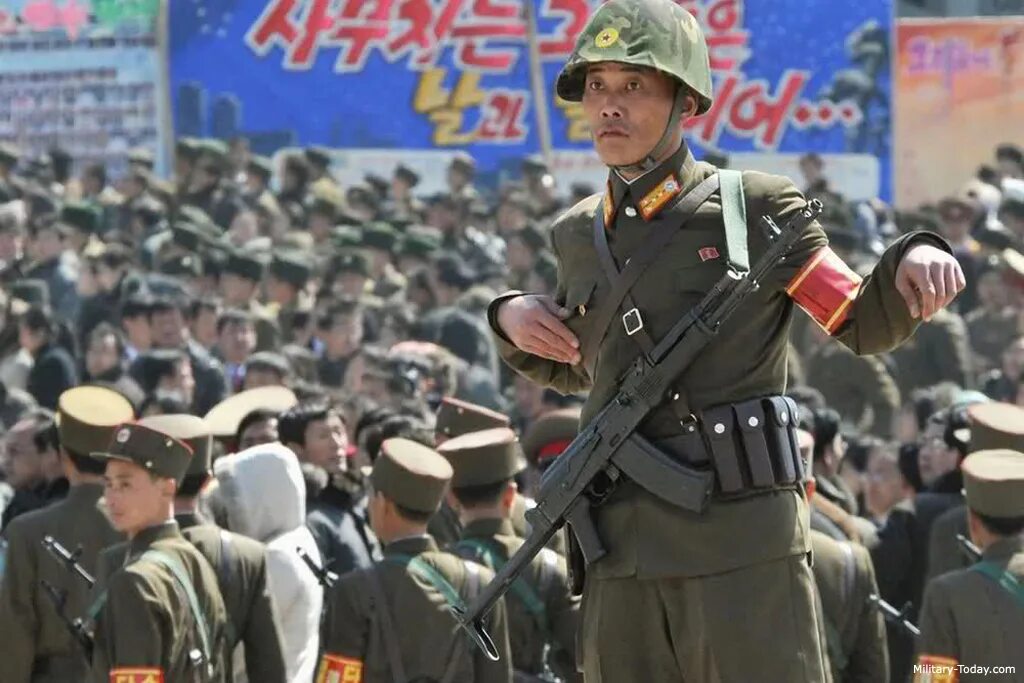 ноак (qbz-95). автомат калашникова северной корее. ополчение кндр. Korea type. ак74 автомат кндр.