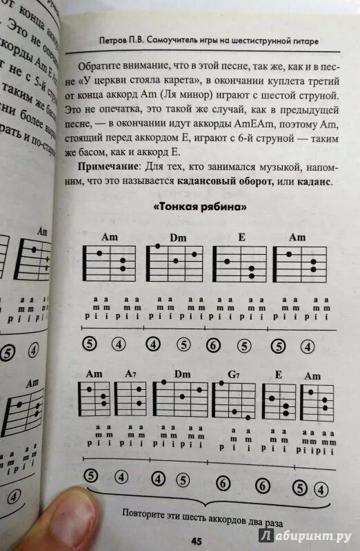 Гитара 6 струнная уроки начинающим. Самоучитель на гитаре для начинающих. Самоучитель на шестиструнной гитаре. Шестиструнная гитара самоучитель для начинающих. Самоучитель игры на электрогитаре с нуля.