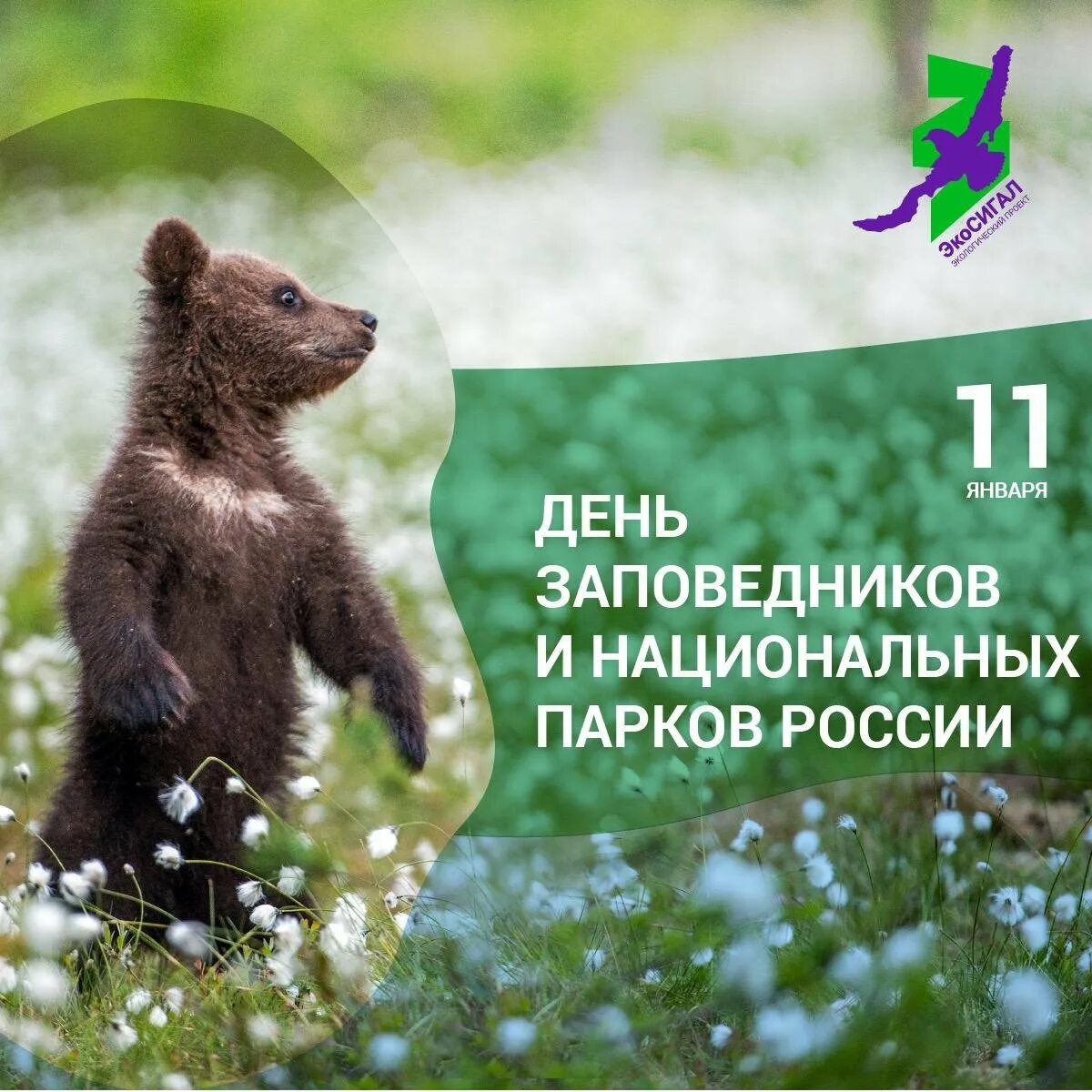 День заповедника 2025. День заповедников и национальных парков. день заповедников поздравление.