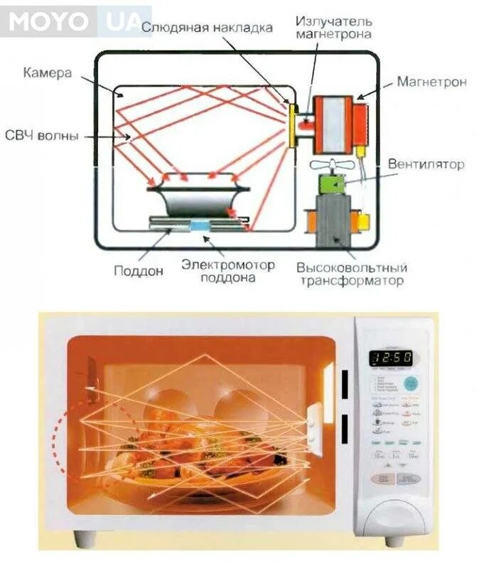 Распространение волн в микроволновой печи. Как работает СВЧ печь. Принцип работы микроволновой печи схема. Нагревательный элемент в микроволновой печи. Свч воздействие