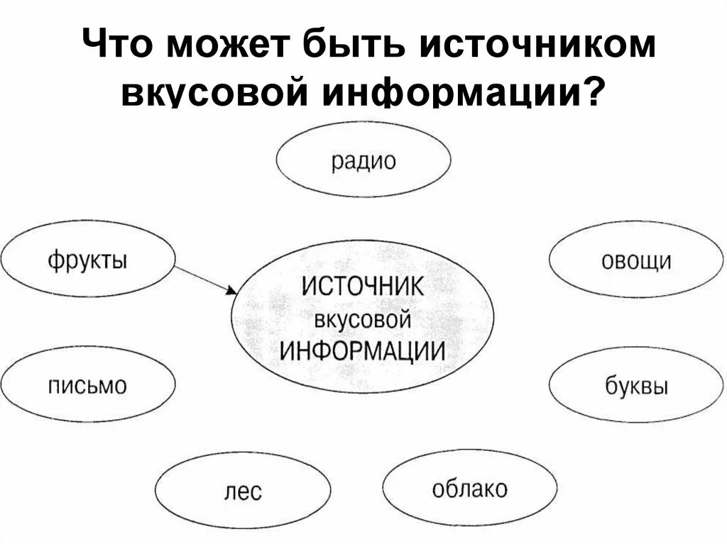 Что может быть источником информации для человека. Источники вкусовой информации. что может быть источником вкусовой информации. источники информации примеры. вкусовая информация примеры.