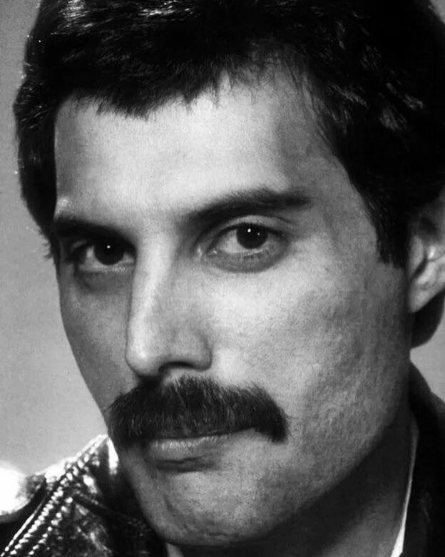 Фредди меркури певец. Forever freddie mercury 1991. Певец похожий на фредди. Фредди меркури певец. Фредди меркьюри.