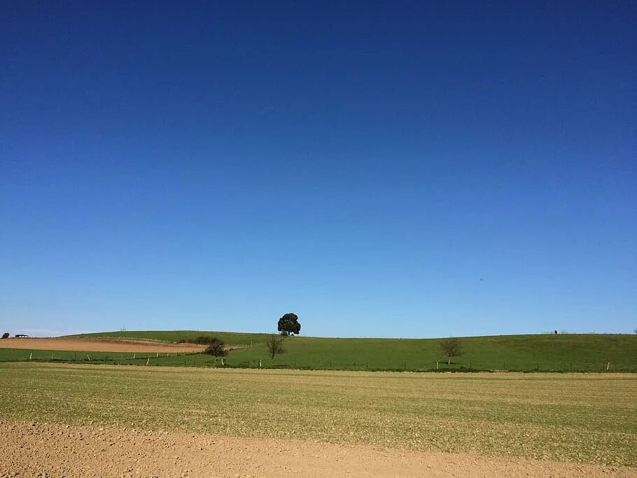 Окружение земли. Саванна голубое небо. Beautiful-shot-Tree-Savanna-Plains-with-Blue-Sky-181624-19933.