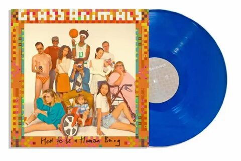 Take a slice glass animals