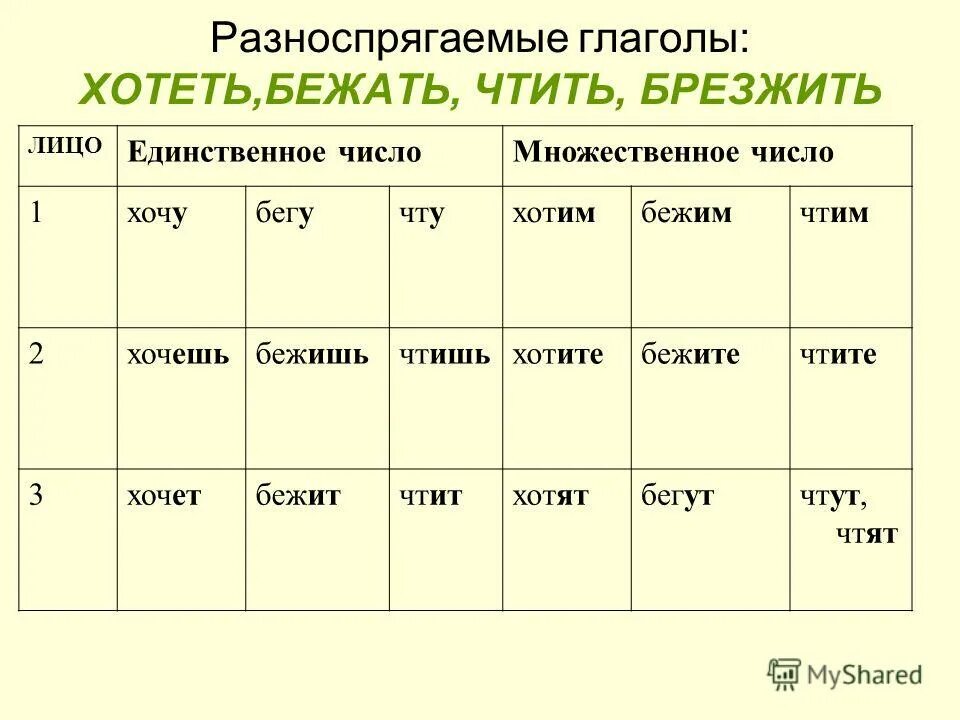 Род глагола во множественном числе. Род глагола во множественном числе